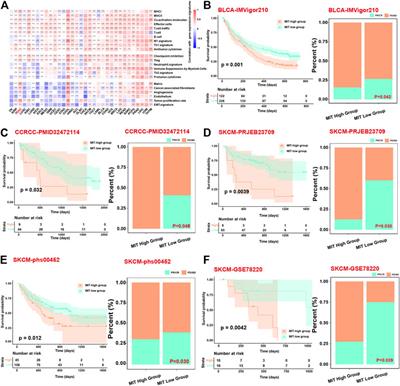 The Crosstalk Between Malignant Cells and Tumor-Promoting Immune Cells Relevant to Immunotherapy in Pancreatic Ductal Adenocarcinoma